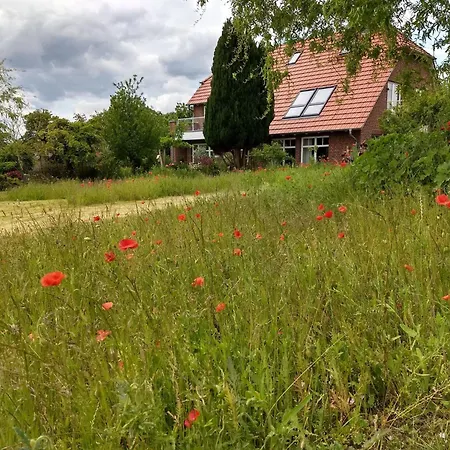 Schwalbennest By Interhome Apartmán